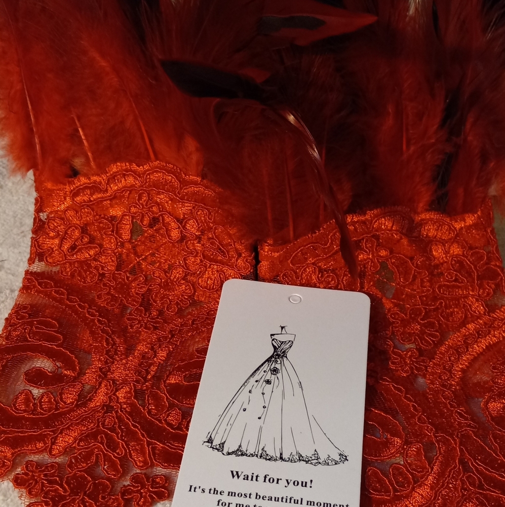 New,elegant red&black feathers red embroidered fingerless gloves for dress-up. - Picture 3 of 4